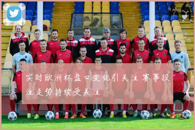 实时欧洲杯盘口变化引关注 赛事投注走势持续受关注