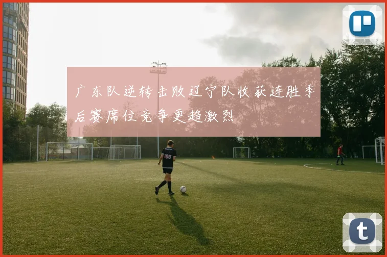 广东队逆转击败辽宁队收获连胜季后赛席位竞争更趋激烈