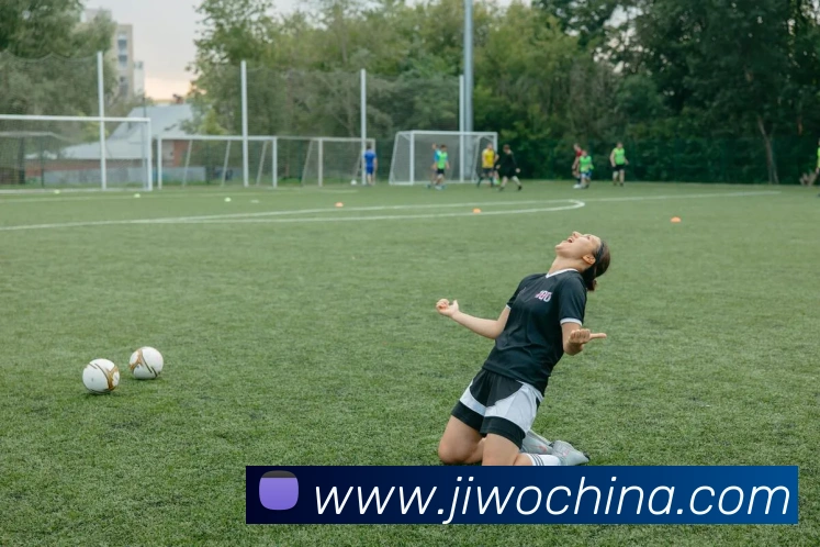 App Interface Preview